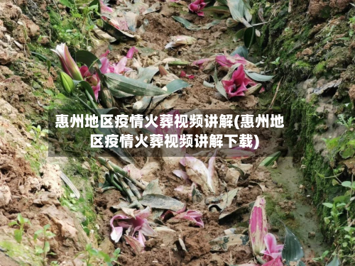 惠州地区疫情火葬视频讲解(惠州地区疫情火葬视频讲解下载)-第3张图片
