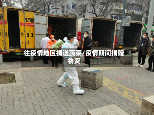 往疫情地区捐送蔬菜/疫情期间捐赠物资