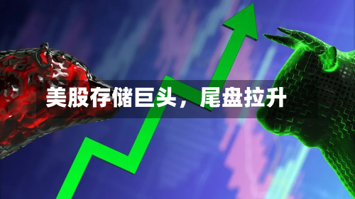 美股存储巨头，尾盘拉升