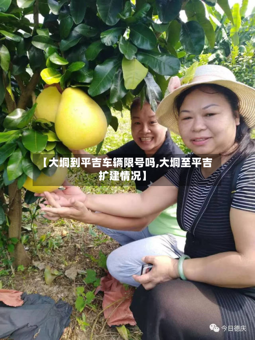 【大垌到平吉车辆限号吗,大垌至平吉扩建情况】-第2张图片