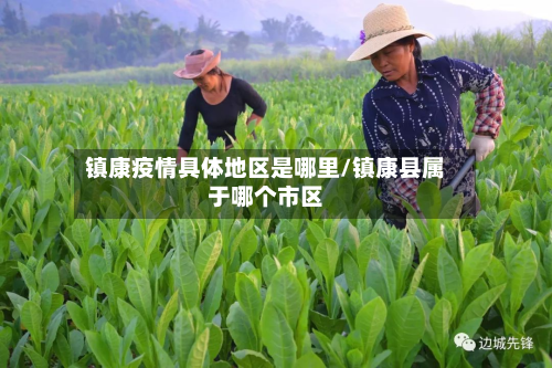 镇康疫情具体地区是哪里/镇康县属于哪个市区