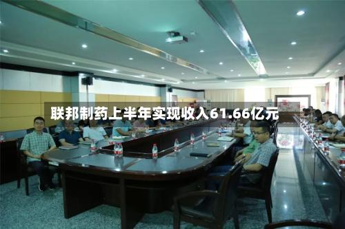 联邦制药上半年实现收入61.66亿元-第3张图片