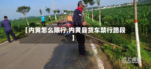 【内黄怎么限行,内黄县货车禁行路段】-第2张图片