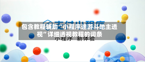 包含教程辅助“小程序途游斗地主透视”详细透视教程的词条