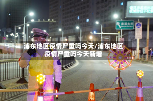 浦东地区疫情严重吗今天/浦东地区疫情严重吗今天新增-第2张图片