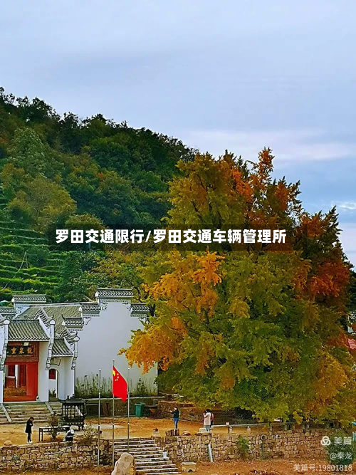 罗田交通限行/罗田交通车辆管理所-第2张图片