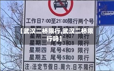【武汉二桥限行,武汉二桥限行吗】