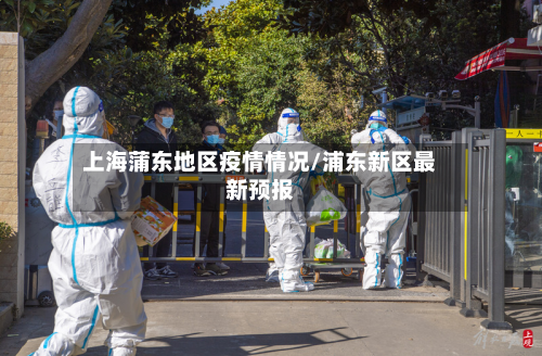 上海蒲东地区疫情情况/浦东新区最新预报-第3张图片