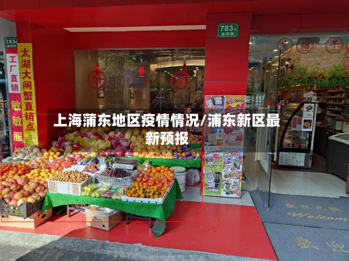 上海蒲东地区疫情情况/浦东新区最新预报