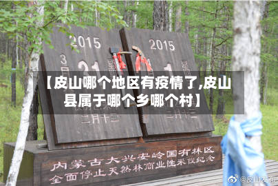 【皮山哪个地区有疫情了,皮山县属于哪个乡哪个村】-第3张图片