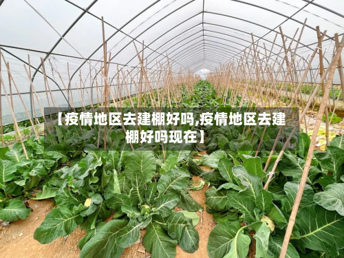 【疫情地区去建棚好吗,疫情地区去建棚好吗现在】-第2张图片