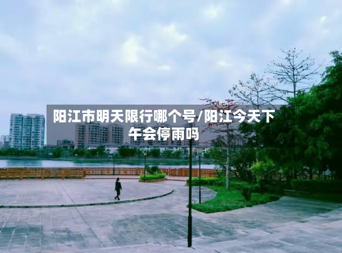 阳江市明天限行哪个号/阳江今天下午会停雨吗-第1张图片
