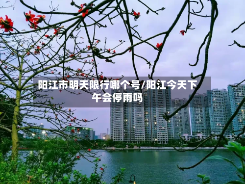 阳江市明天限行哪个号/阳江今天下午会停雨吗-第2张图片