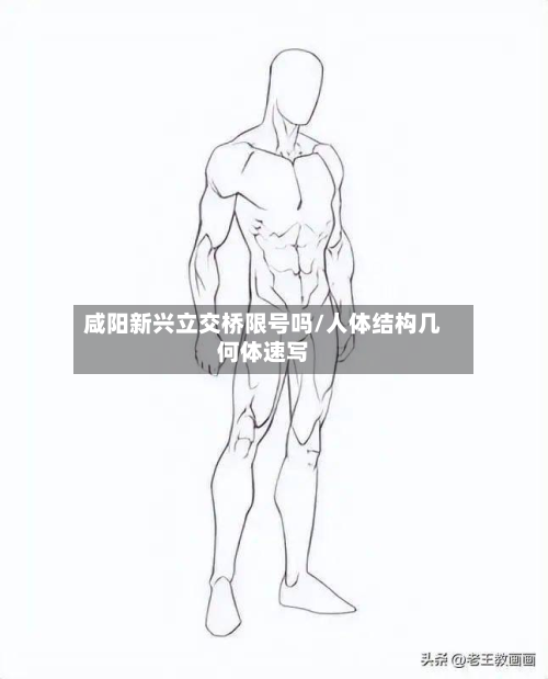 咸阳新兴立交桥限号吗/人体结构几何体速写-第2张图片