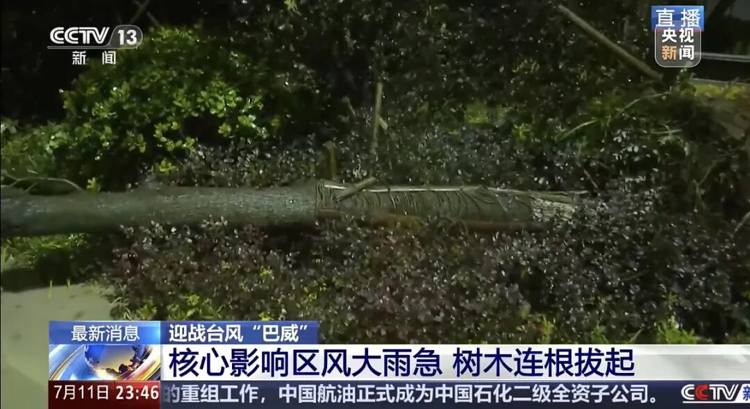“巴威”最新路径公布！0时在浙江乐清二次登陆，5时减弱为强热带风暴，中心最大风力11级