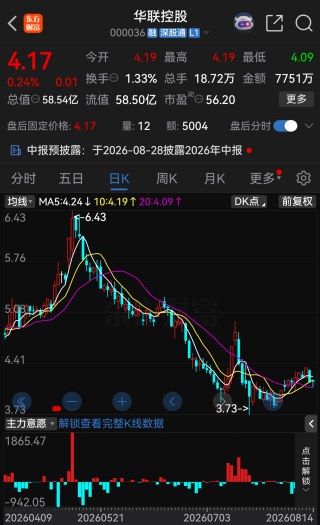 华联控股产业转型突然遇阻，拟投资阿根廷锂盐湖项目触发审查
